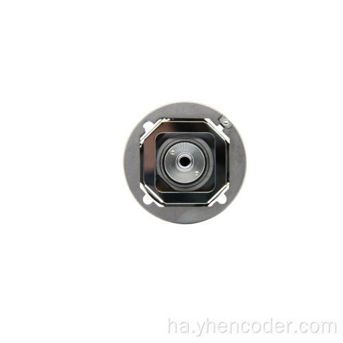 Magnetic tsiri encoder encoder